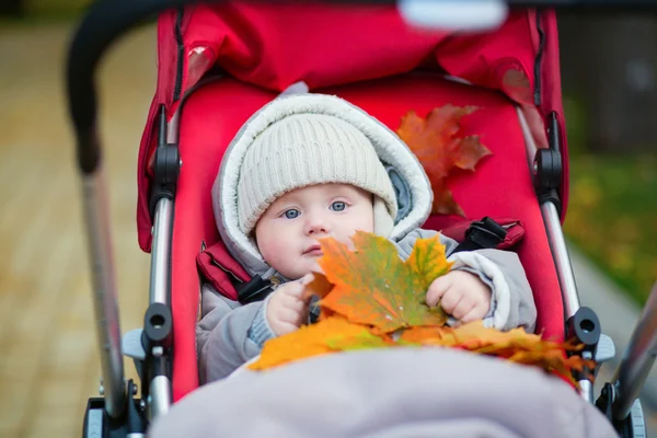 Mały chłopiec w wózek grając z liści jesienią — Zdjęcie stockowe