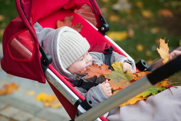 Niño en cochecito jugando con hojas de otoño —  Fotos de Stock