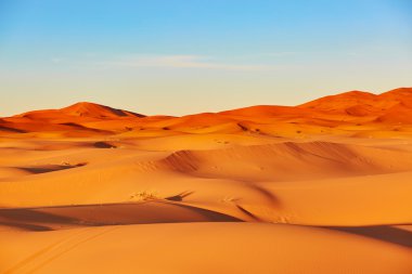 Sahara çölünde kum tepeleri
