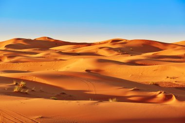 Sahara çölünde kum tepeleri