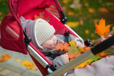 Bebek arabasındaki bebek sonbahar yaprakları ile oynamak