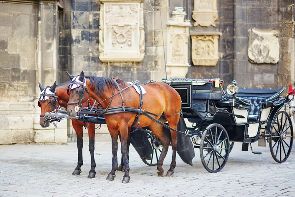 Horse-driven carriage in Vienna, Austria — Stock Image Horse-driven carriage in Vienna, Austria Royalty Free Stock Photos