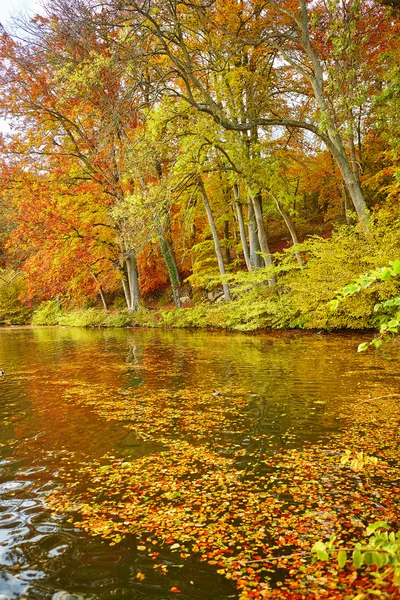 Landschaftliche Herbstlandschaft — Stockfoto