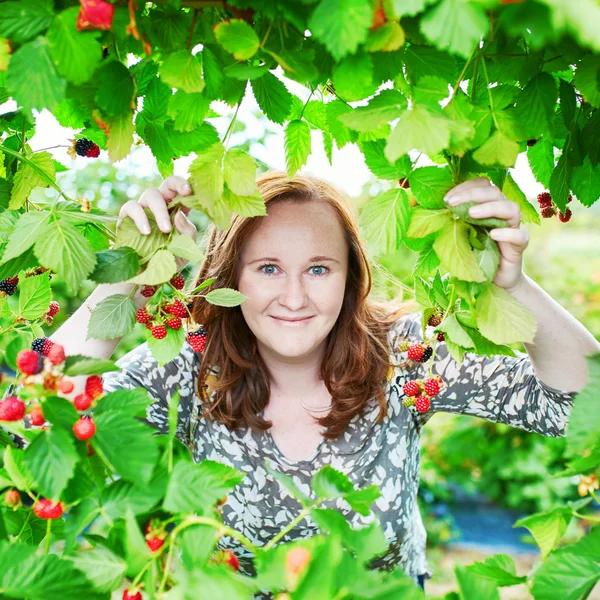 Beautiful young girl picking raspberries of blackberries — Stock Photo, Image