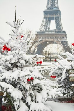 Paris'te nadir karlı gün