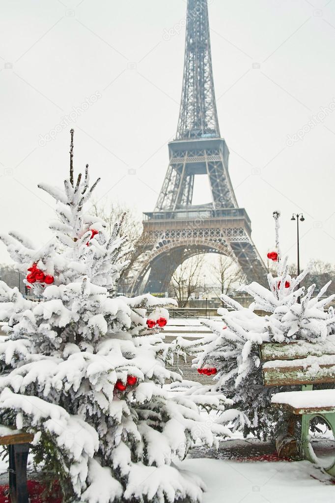 Rare snowy day in Paris