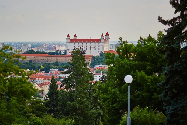 Malebný pohled na Bratislavský hrad — Stock fotografie