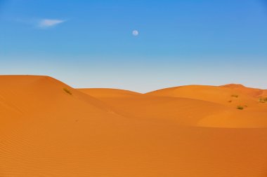 Sand dunes in the Sahara Desert clipart