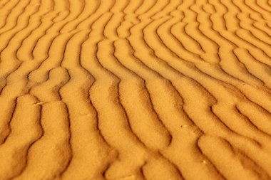 Sahara çölünde kum tepeleri