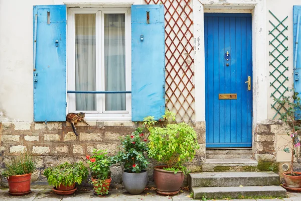 Bir pencere pervazına uyuyan kedi — Stok fotoğraf