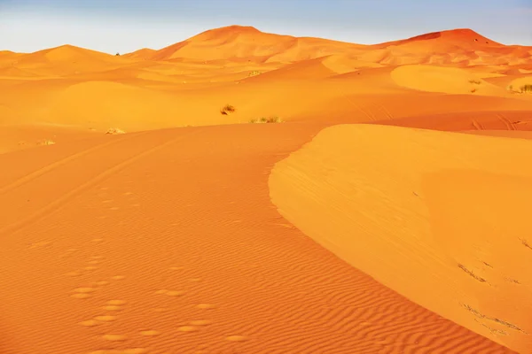 Zandduinen in de sahara woestijn — Stockfoto