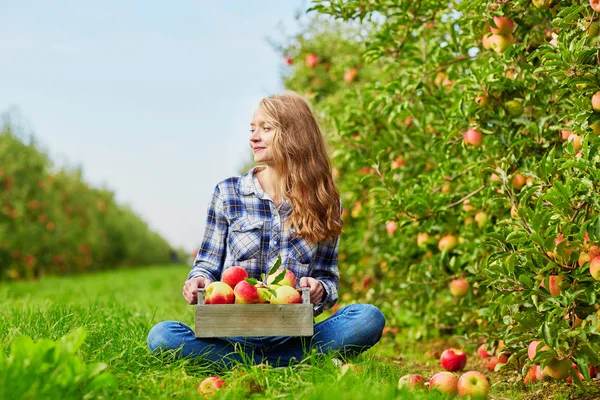 Wanita muda memetik apel di kebun — Stok Foto