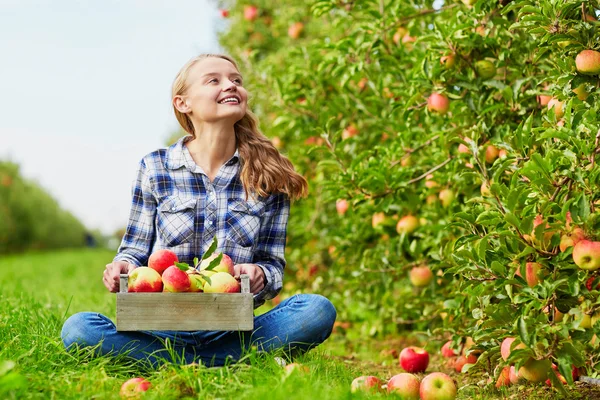 Mujer joven recogiendo manzanas en el jardín —  Fotos de Stock