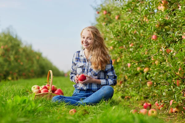 Νεαρή γυναίκα να πάρει τα μήλα στον κήπο — Φωτογραφία Αρχείου