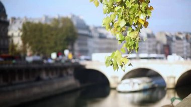 PARİS, FRANCE - 20 EKİM 2025: Paris 'te güneşli bir gün ön planda yeşil yapraklar ve Seine Nehri üzerindeki bir köprünün bulanık manzarası.