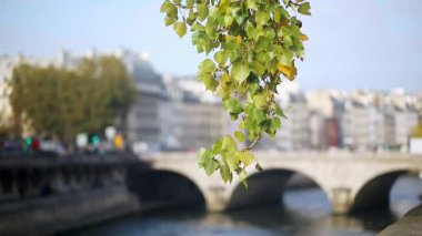 PARİS, FRANCE - 20 EKİM 2025: Paris 'te güneşli bir gün ön planda yeşil yapraklar ve Seine Nehri üzerindeki bir köprünün bulanık manzarası.