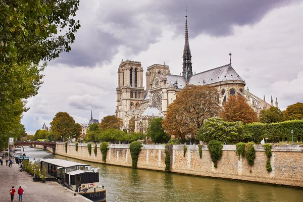 Notre-Dame Katedrali ve doğal görünümü — Stok fotoğraf