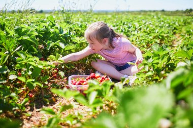 Çilek tarlasında oturan, elinde taze böğürtlen tutan ve baş parmağını gösteren gülümseyen kız..