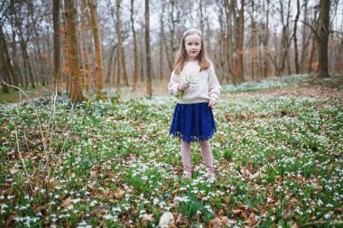 Çiçek açan kardelerle dolu bir çayırda genç bir kız. Bir bahar günü erkenden çiçek topluyor.