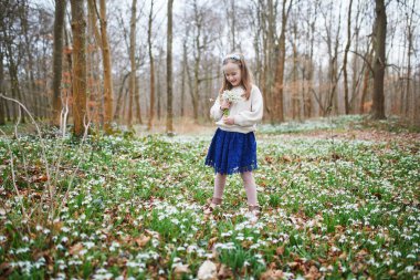 Young girl in a forest meadow full of blooming snowdrops, picking flowers on an early spring day
