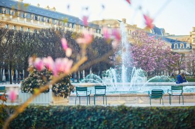 Paris 'in resmi bahçesinde çeşmeye bakan iki boş metal sandalye..