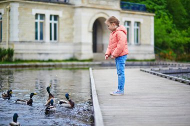 Pembe ceketli küçük kız parktaki gölün kıyısındaki ördekler ile etkileşime geçiyor..