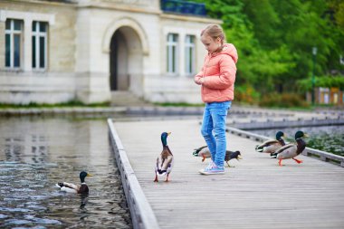Pembe ceketli küçük kız parktaki gölün kıyısındaki ördekler ile etkileşime geçiyor..