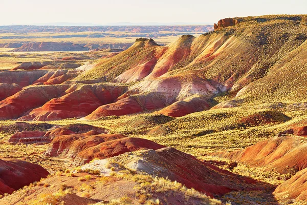 Национальный парк "Окрашенная пустыня" в Аризоне, США — стоковое фото