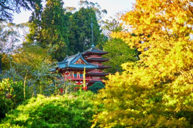 Güzel kırmızı pagoda Japon bahçe Golden Gate Park