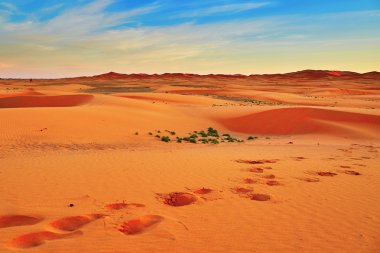 Sahara çölünde kum tepeleri
