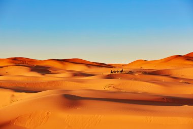 Sand dunes in the Sahara Desert clipart
