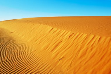 Sahara çölünde kum tepeleri