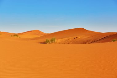 Sahara çölünde kum tepeleri