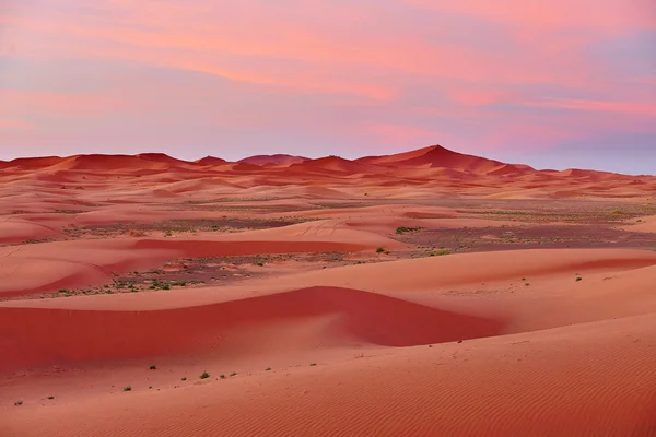 Zandduinen in de sahara woestijn — Stockfoto