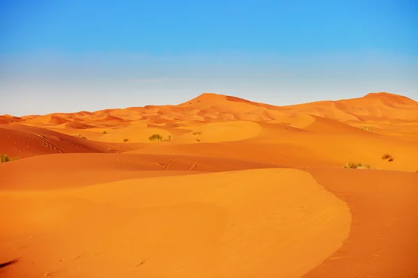 Dunas de arena en el desierto del sahara — Foto de Stock