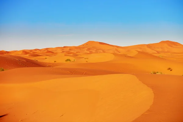 Dunes de sable dans le désert du sahara — Photo