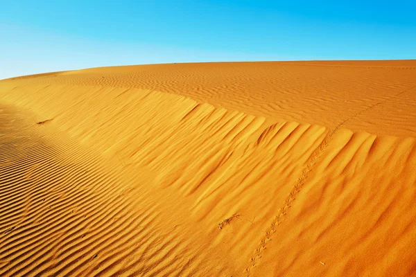 Αμμόλοφους στην έρημο Σαχάρα — Φωτογραφία Αρχείου