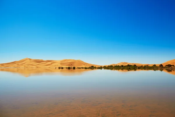 Lago Oasis en el desierto del Sahara, Merzouga, África — Foto de Stock