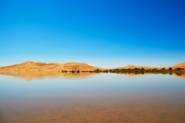 Oázis tó a szaharai sivatagban, Merzouga, Afrikában — Stock Fotó