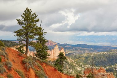 Doğal manzara Bryce Canyon, Utah, ABD