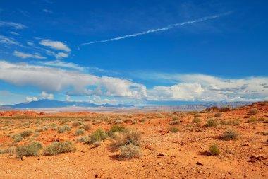 Yangın Milli Parkı Vadisi doğal peyzaj