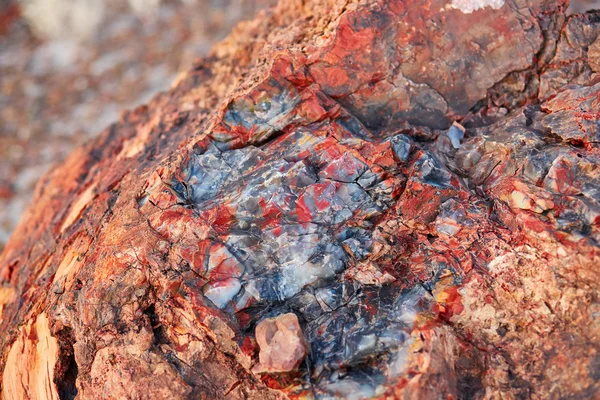 Petrified Forest National Park, Arizona, Verenigde Staten — Stockfoto