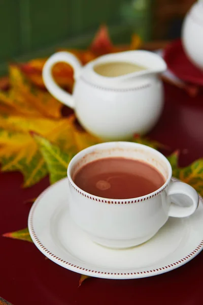 Xícara de chocolate quente — Fotografia de Stock