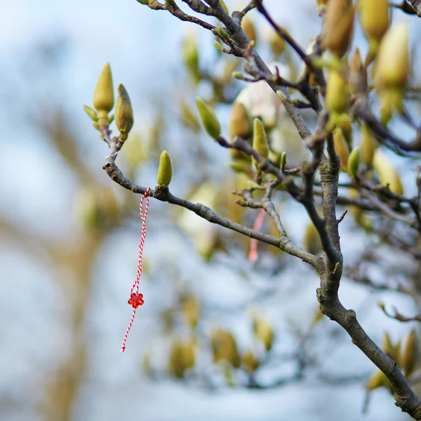 Martisor, symbol wiosny — Zdjęcie stockowe