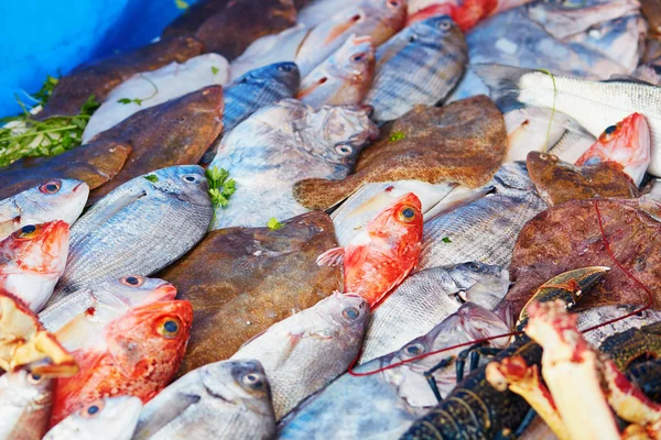 Úlovek dne na tradiční marocký trh (souk) v Essaouira, Maroko — Stock fotografie