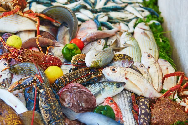 Vangst van de dag op een traditionele Marokkaanse markt (souk) in Essaouira, Marokko — Stockfoto