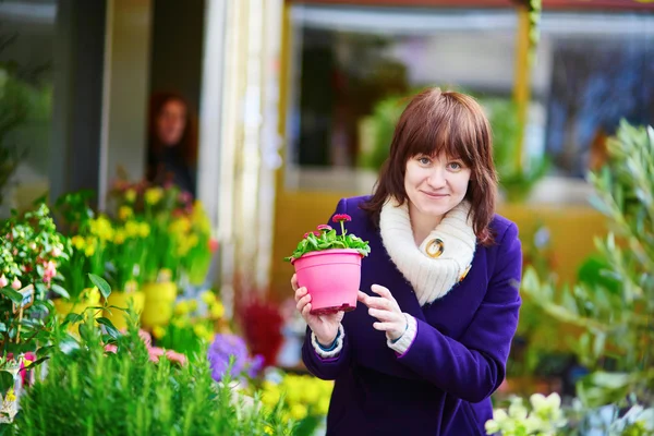 Woman selecting flowers at Parisian market — Stock Photo, Image