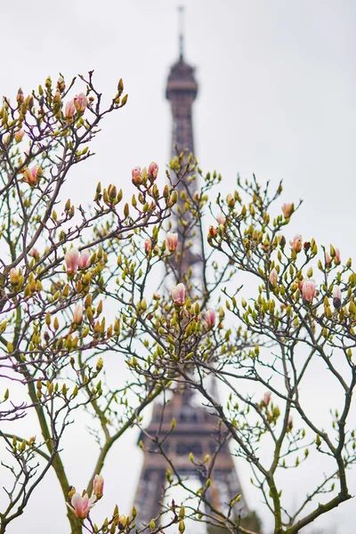 Frühling in Paris — Stockfoto