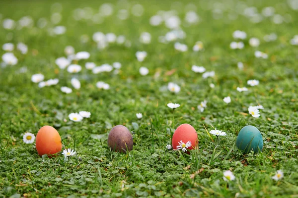 Bunte Ostereier im grünen Gras versteckt — Stockfoto