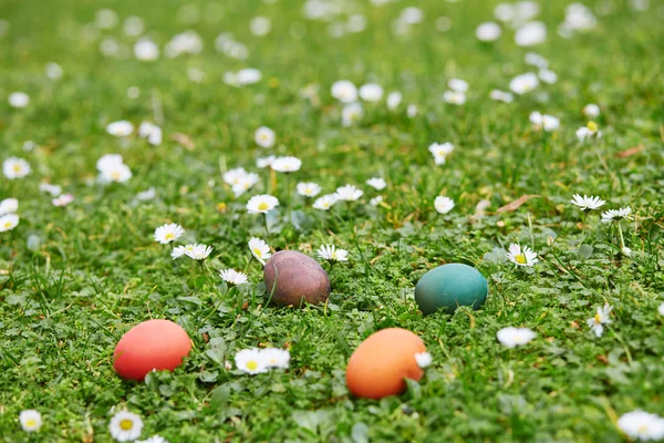 Telur Paskah berwarna-warni tersembunyi di rumput hijau — Stok Foto